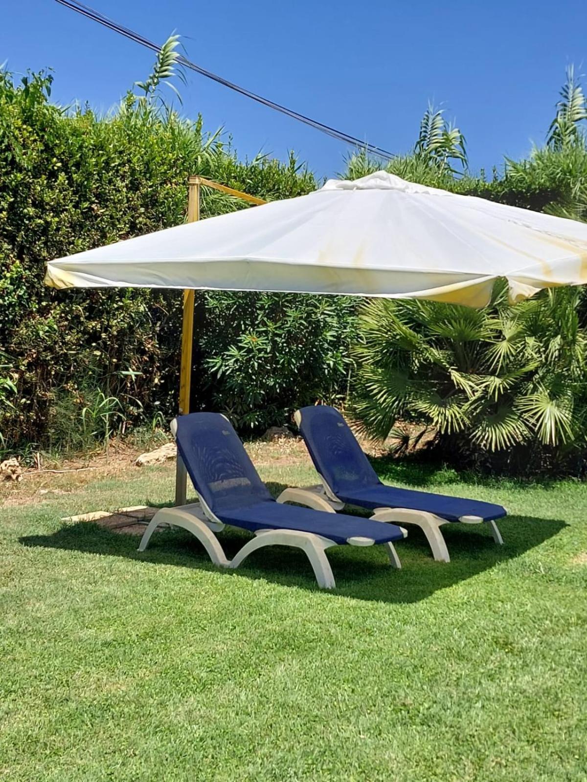 Cozy Studio - Monolocale - Fiumicino Aeroporto E Fiera - Self Check-In Exterior photo